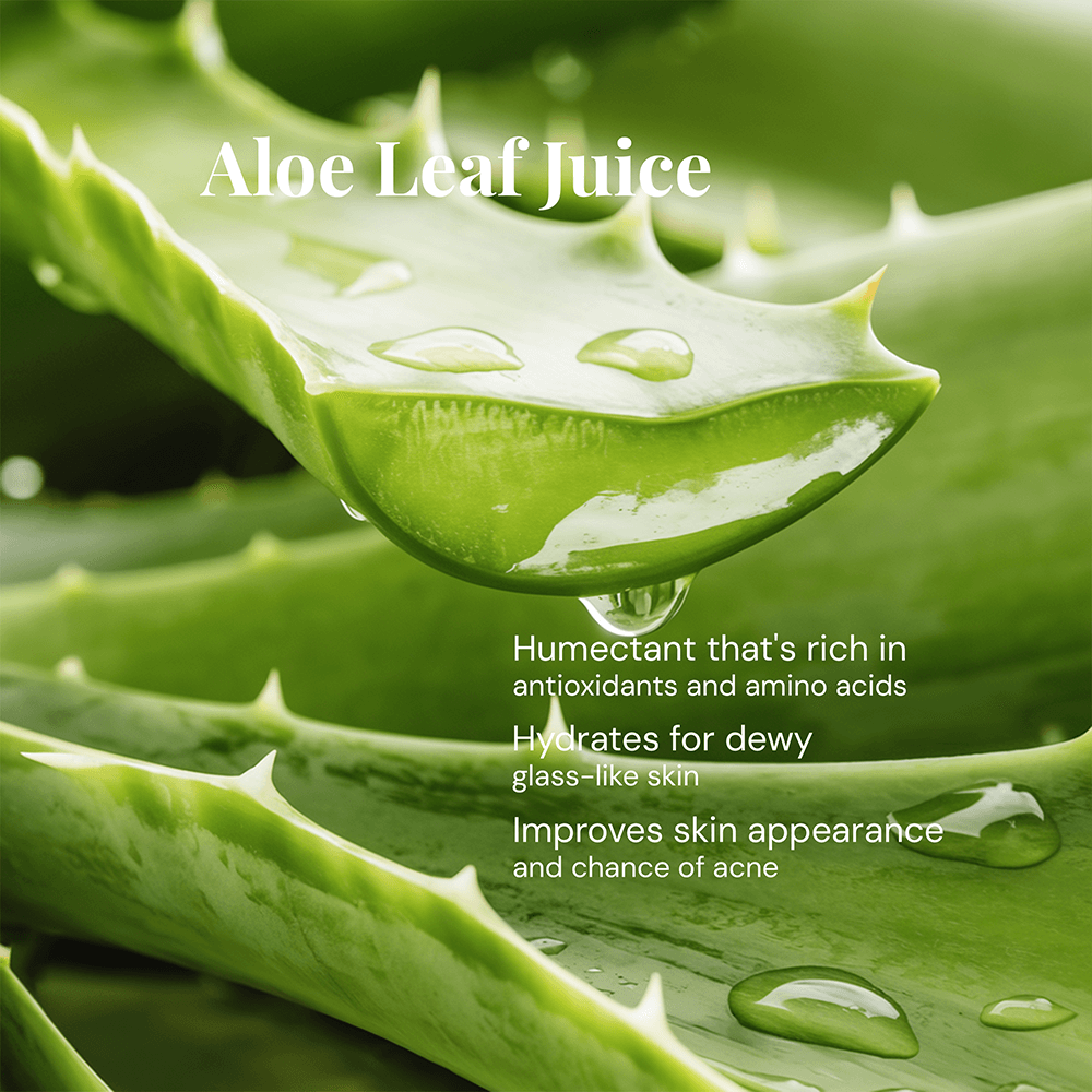 Clean & Hydrate Face